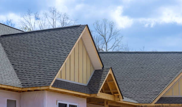 Best Metal Roofing Installation  in Van Buren, AR